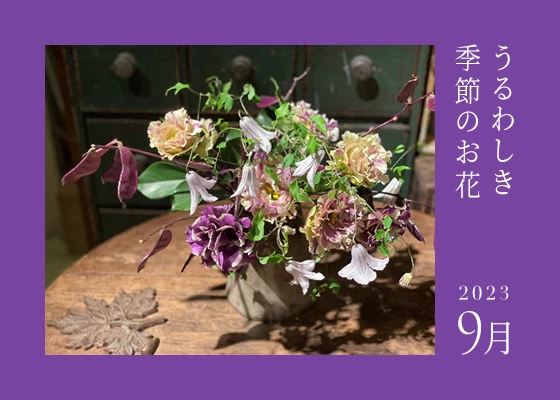 うるわしき季節のお花 23.09