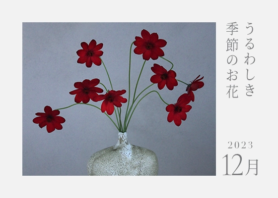 うるわしき季節のお花 23.12