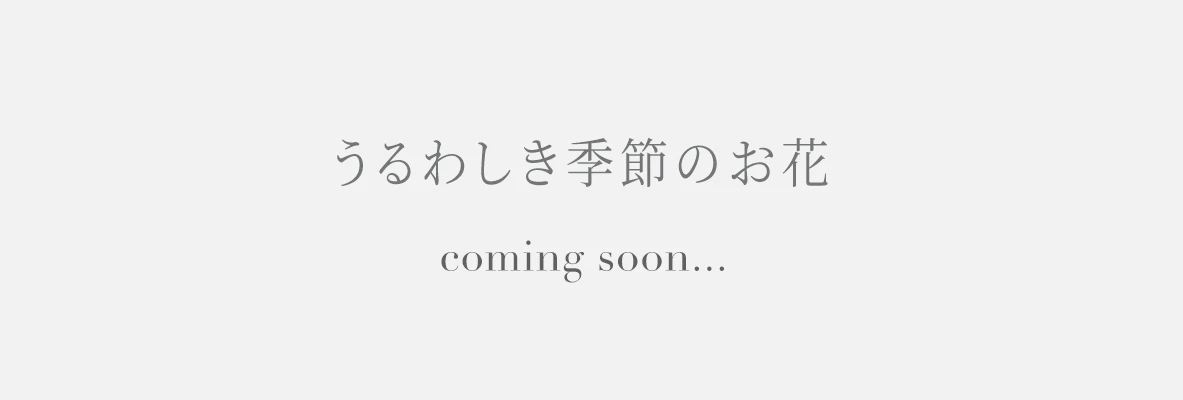 うるわしき季節のお花