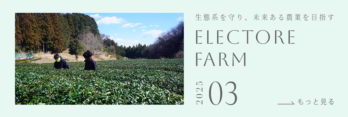 ELECTORE FARM