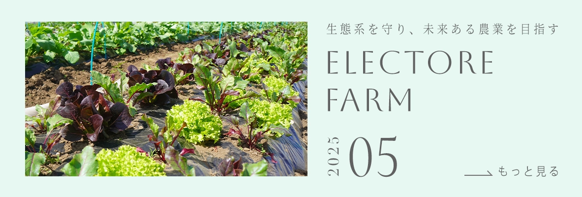 ELECTORE FARM
