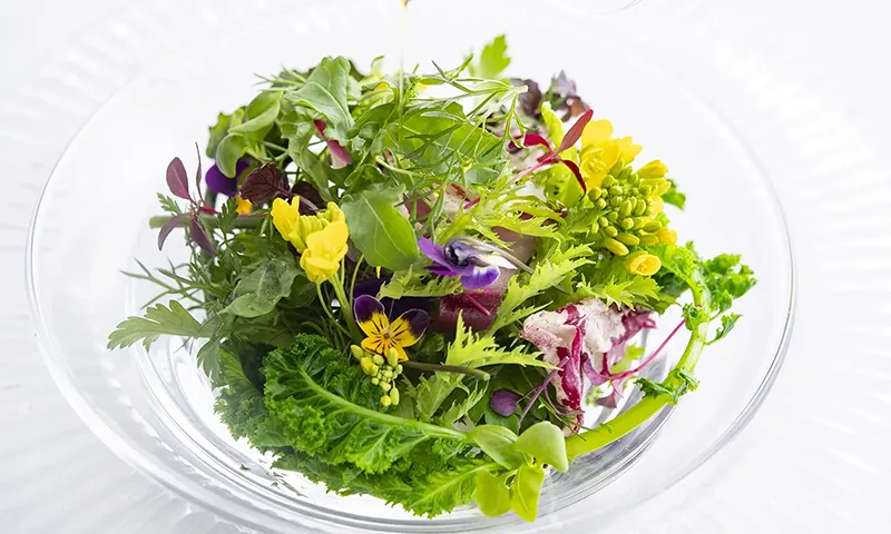 野菜やハーブがおいしく美しくいただける濱崎レシピ
