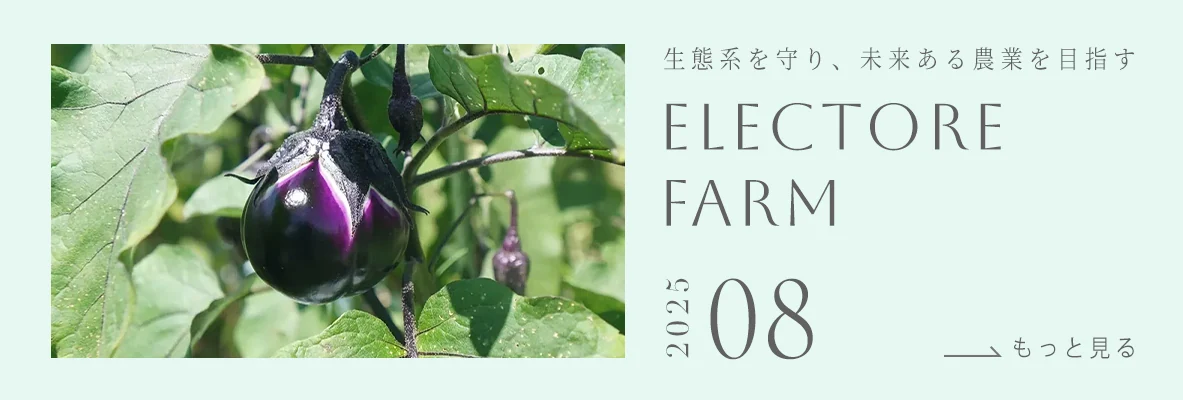 ELECTORE FARM
