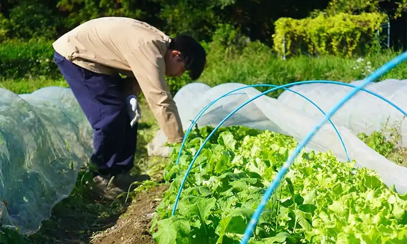 穏やかな秋の日差しの中で
