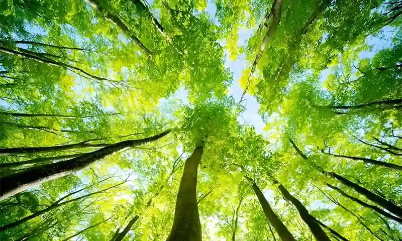 Beauty Style  Vol.48