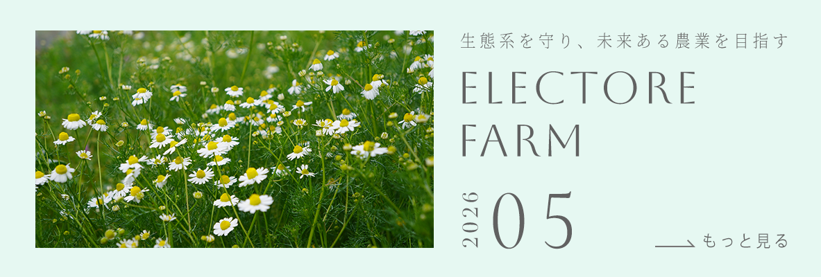 ELECTORE FARM