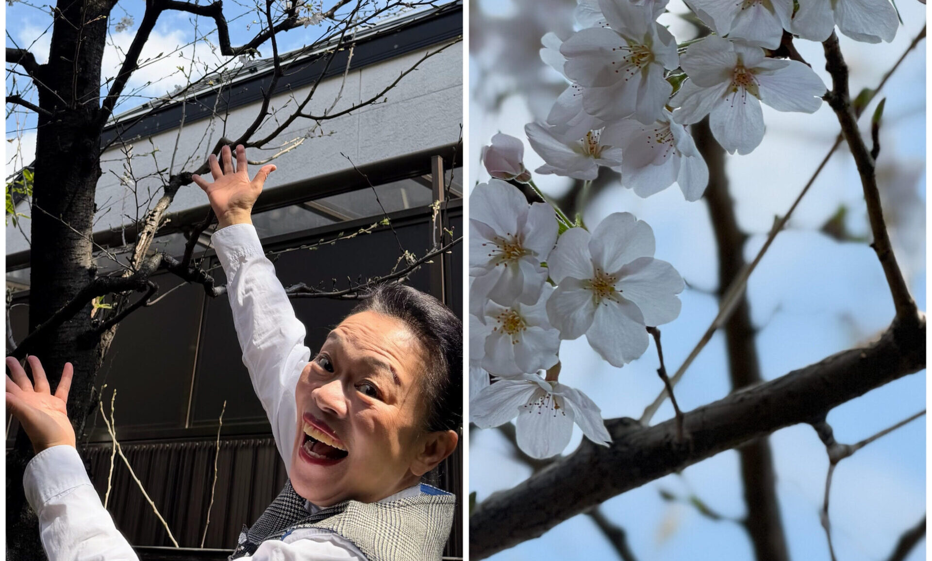 あの人の美しさの理由 柴田理恵